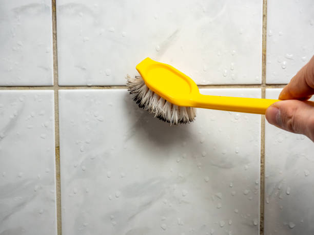 Best Residential Mold Removal  in Racine, WI