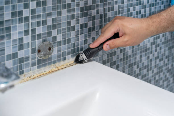Best Fast Mold Removal  in Racine, WI