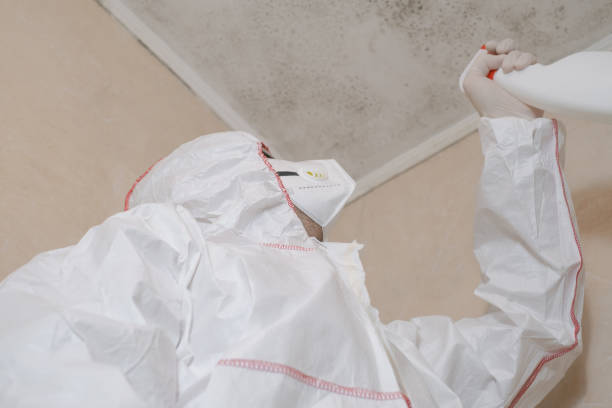 Best Certified Mold Removal  in Racine, WI