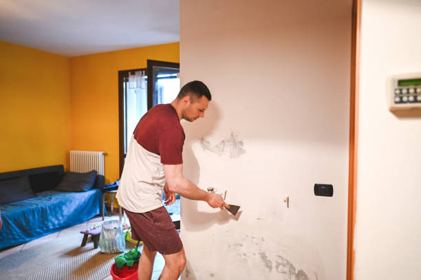 Best Emergency Mold Removal  in Racine, WI