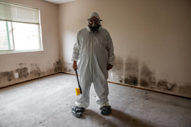 Best Best Mold Removal Companies  in Racine, WI